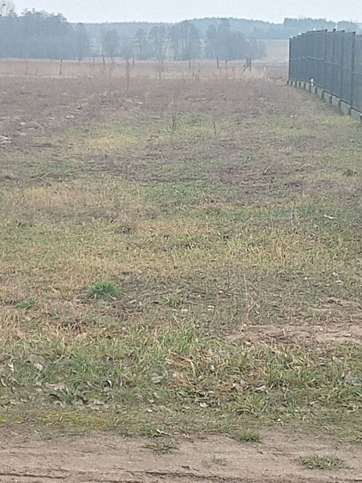 Działka rekreacyjna Nowe Miasto. Zdjęcie 8