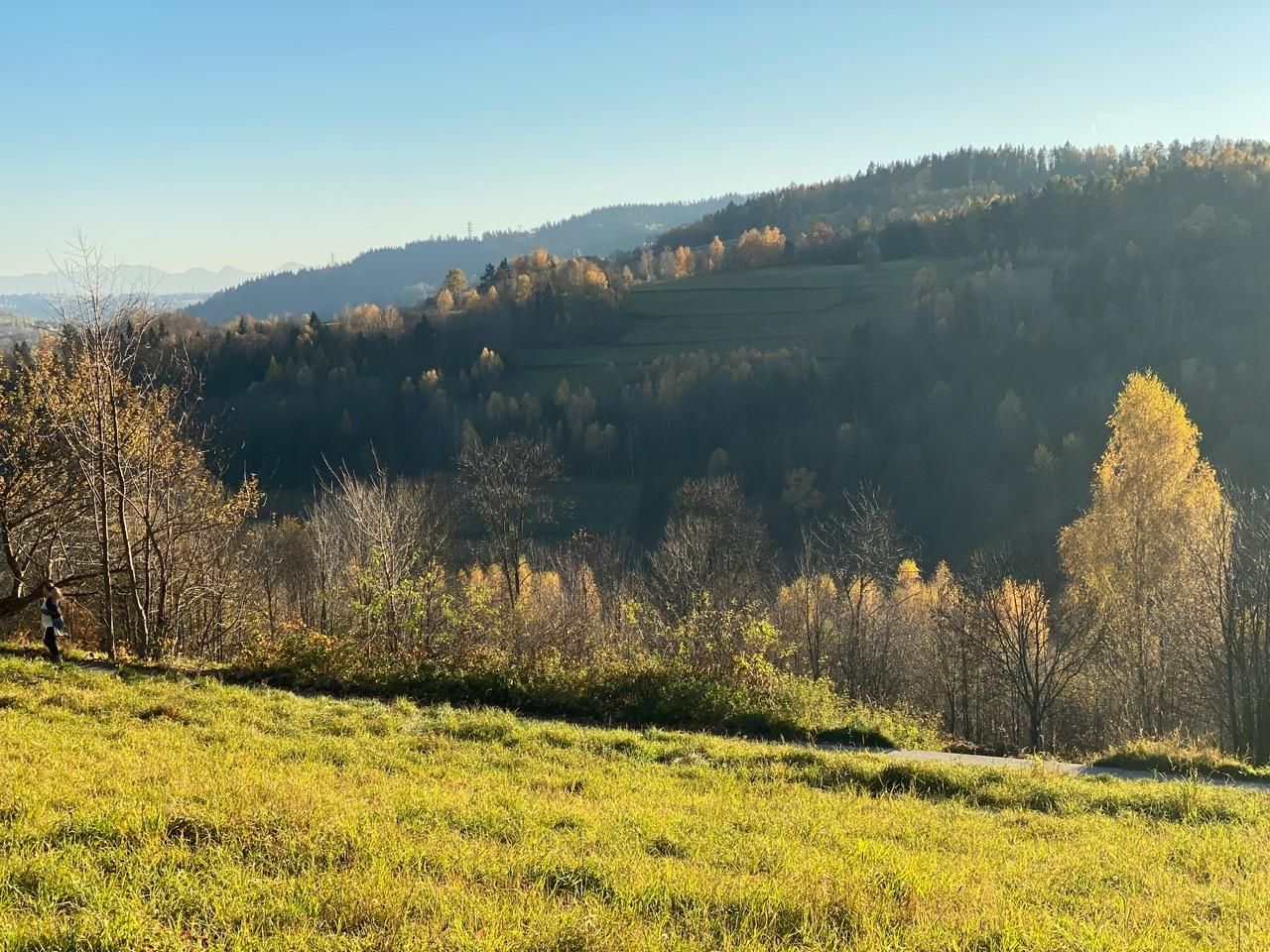Działka budowlana Tokarnia. Zdjęcie 8
