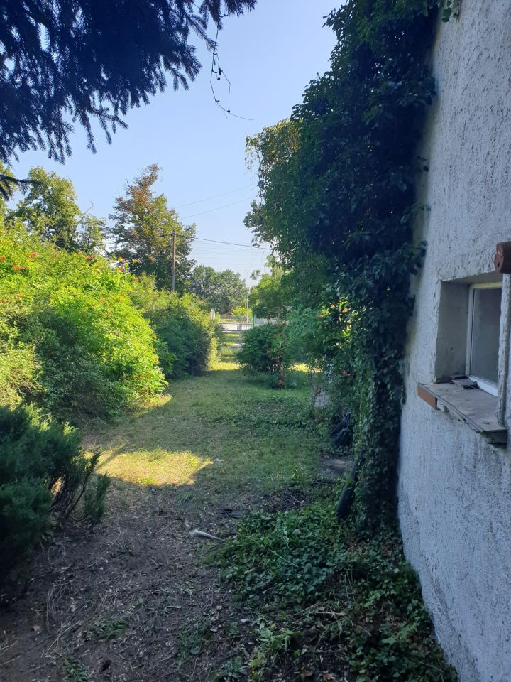 gospodarstwo, 5 pokoi Krosno Odrzańskie, ul. Wiejska. Zdjęcie 12