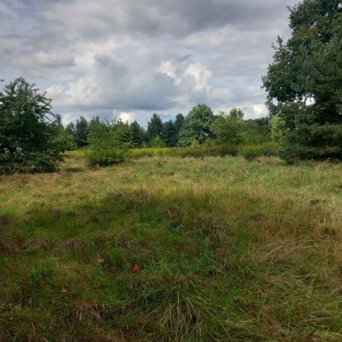 Działka budowlana Dobrzykowice, ul. Jesionowa. Zdjęcie 1