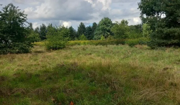 Działka budowlana Dobrzykowice, ul. Jesionowa