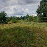 Działka budowlana Dobrzykowice, ul. Jesionowa