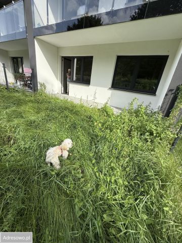 Mieszkanie 2-pokojowe Lubań, ul. Królowej Jadwigi. Zdjęcie 8