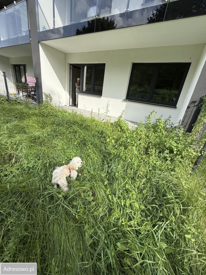 Mieszkanie 2-pokojowe Lubań, ul. Królowej Jadwigi. Zdjęcie 8