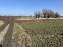 Działka rolna Łęg. Zdjęcie 1