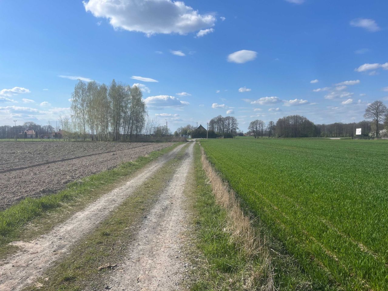 Działka budowlana Karwów. Zdjęcie 2