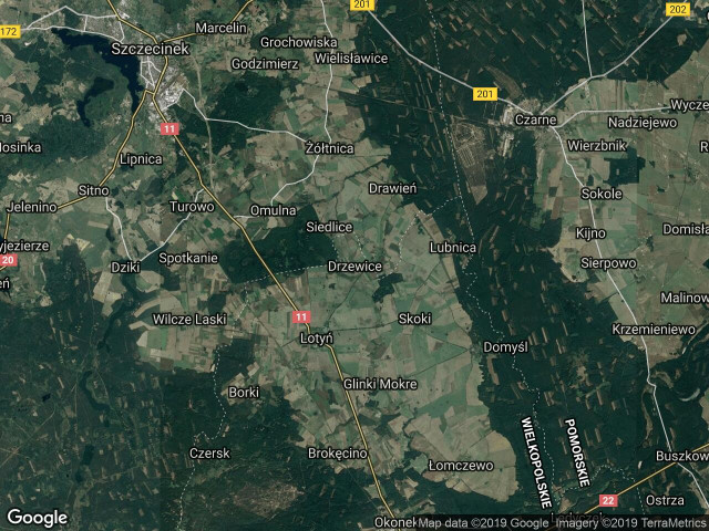 Działka rolna Drzewice. Zdjęcie 1