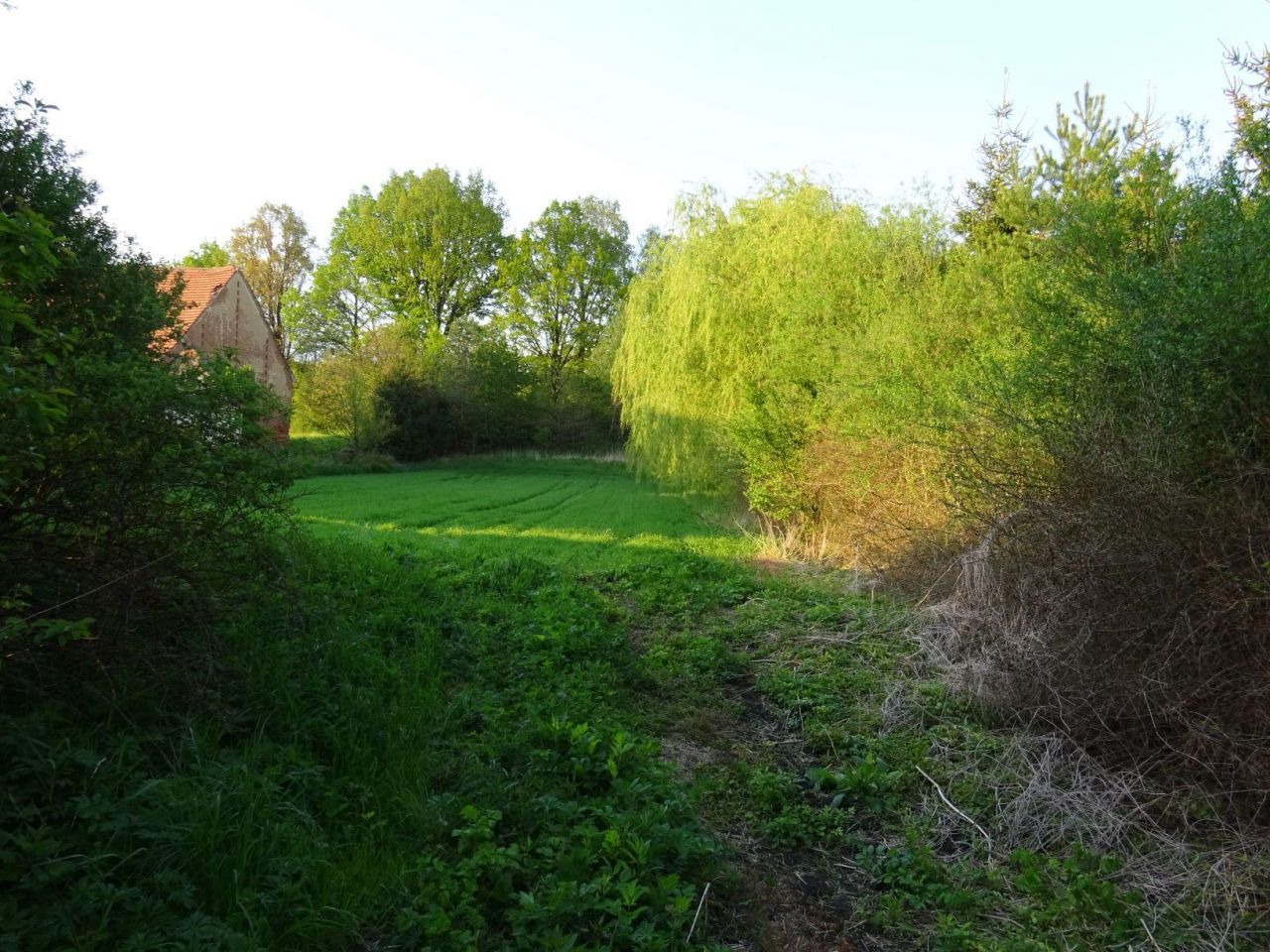 Działka budowlana Olbrachcice Wielkie. Zdjęcie 6