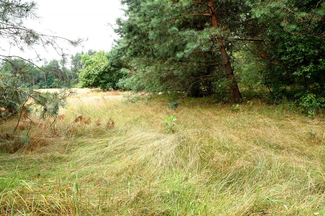 Działka budowlana Turna Duża. Zdjęcie 8