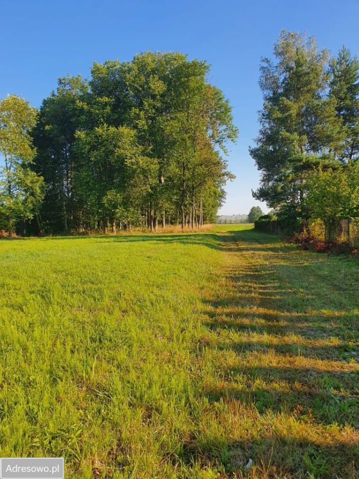 Działka rolno-budowlana Pawlikowice. Zdjęcie 6