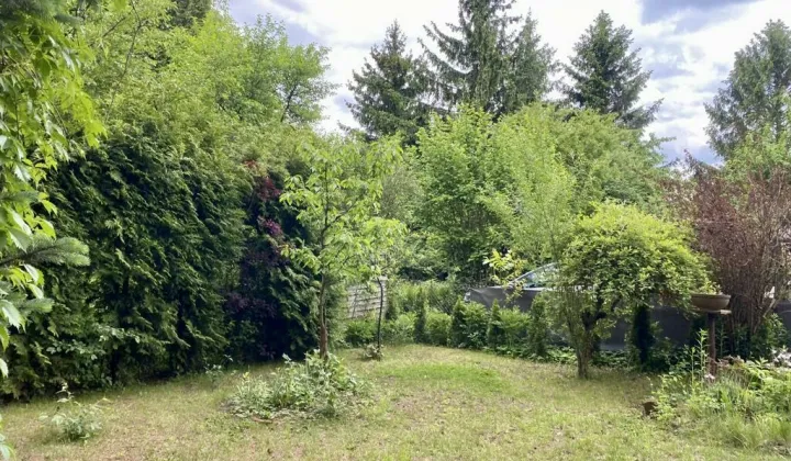 Działka rod Warszawa Zacisze, ul. Lewinowska