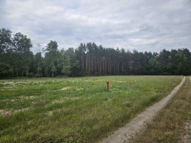 Działka rolna Wólka. Zdjęcie 2