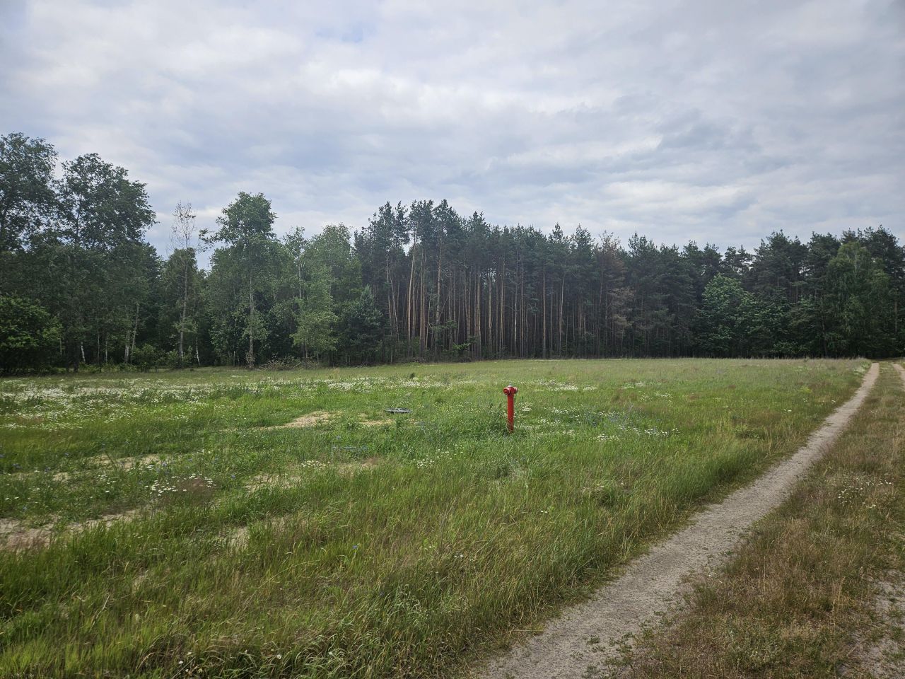 Działka rolna Wólka. Zdjęcie 2