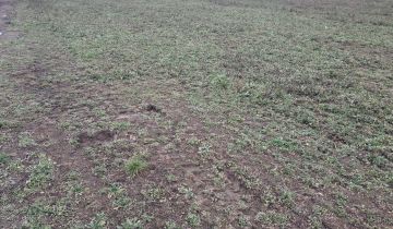 Działka budowlana Karwacz