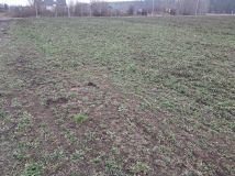 Działka budowlana Karwacz. Zdjęcie 1