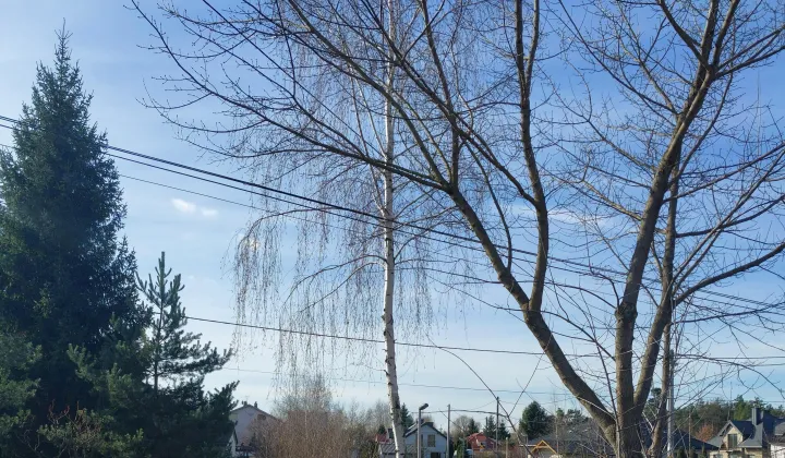 Działka budowlana Nieporęt, ul. Rumiankowa