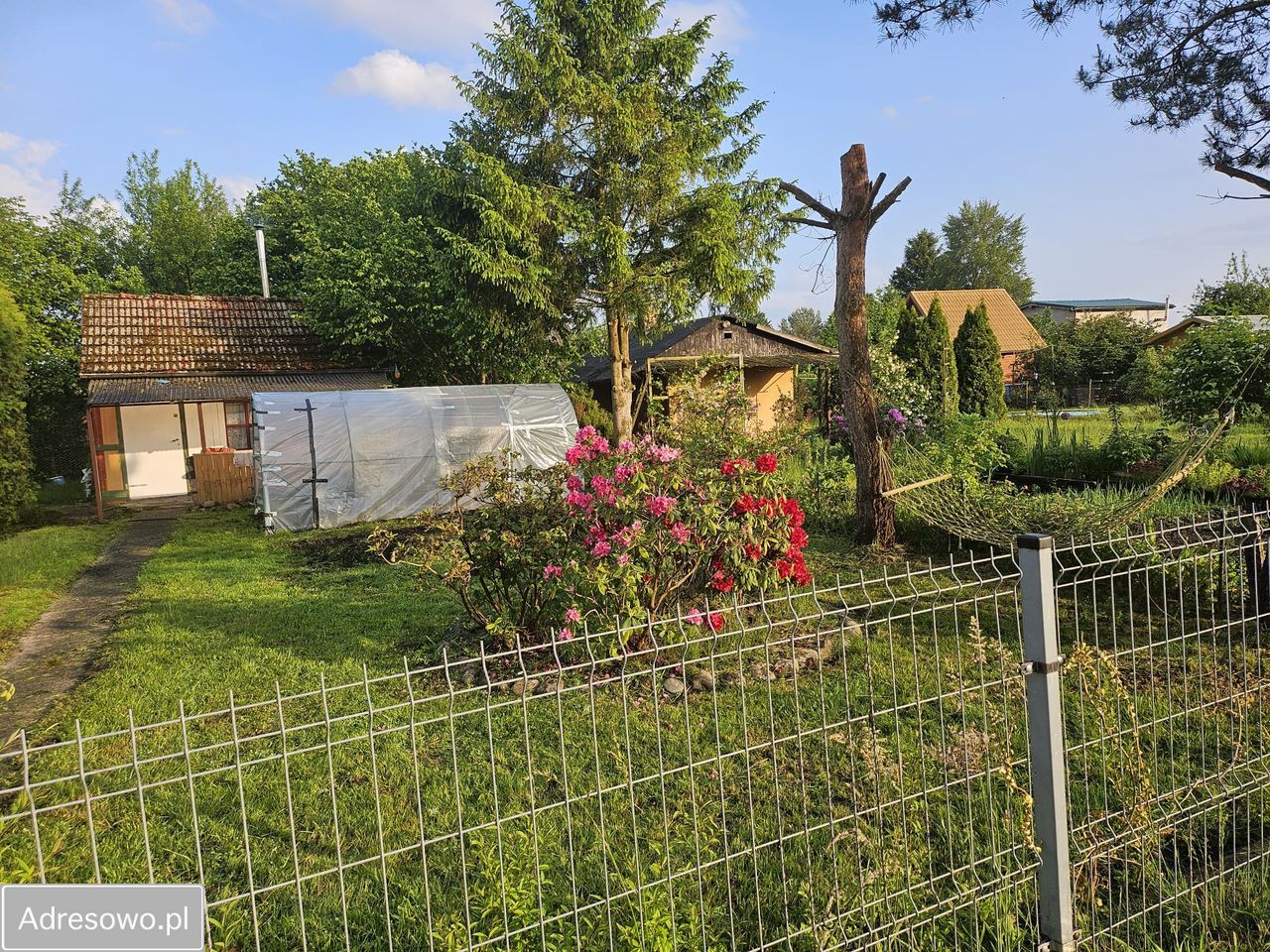 Działka rod Dębostrów