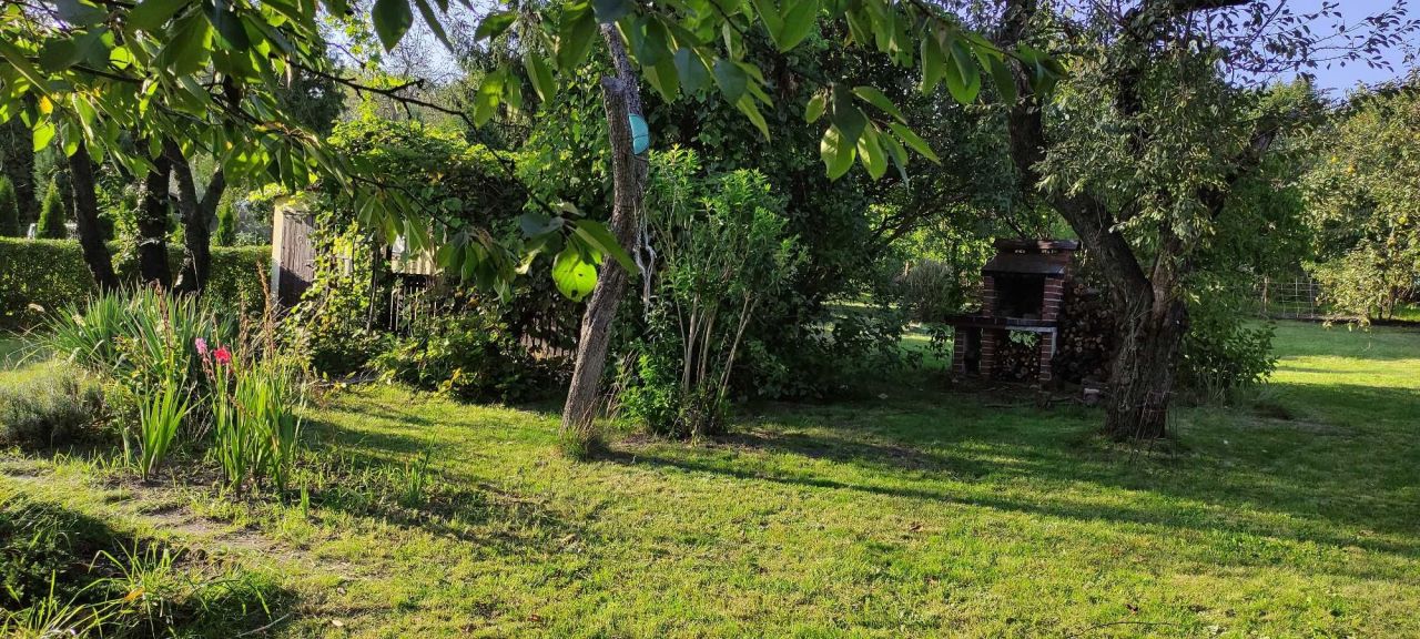 Działka rod Zabrze. Zdjęcie 6