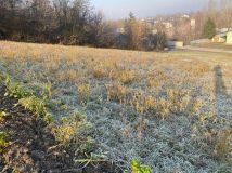 Działka rolno-budowlana Skalbmierz. Zdjęcie 4