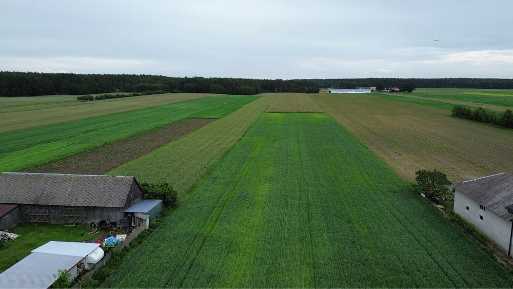 Działka rolno-budowlana Komorowo. Zdjęcie 2