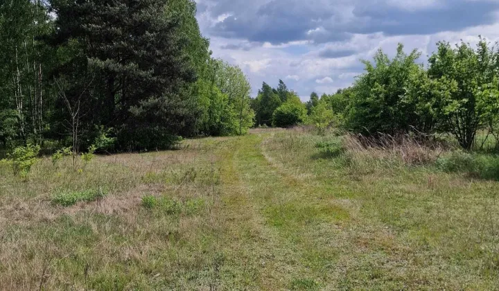 Działka rolno-budowlana Skierniewice, ul. Warszawska