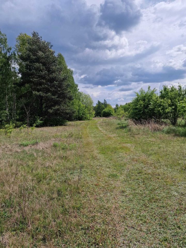 Działka rolno-budowlana Skierniewice, ul. Warszawska