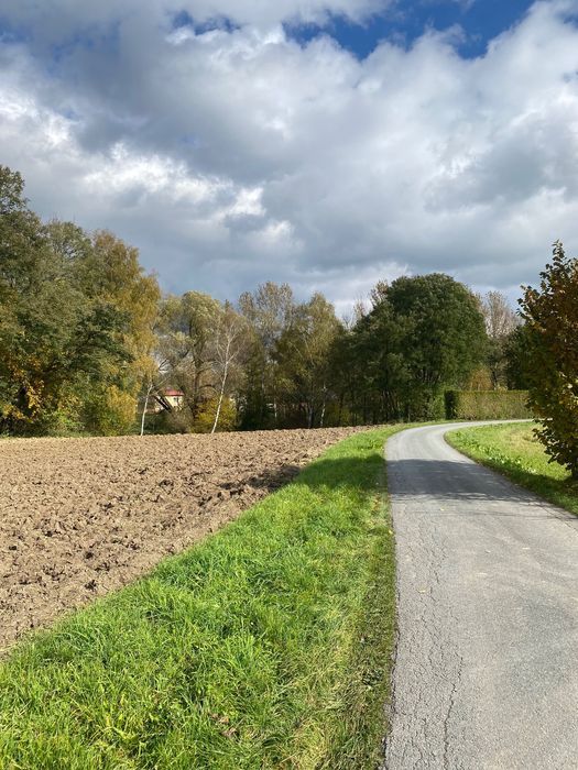 Działka rolno-budowlana Nowy Borek. Zdjęcie 4