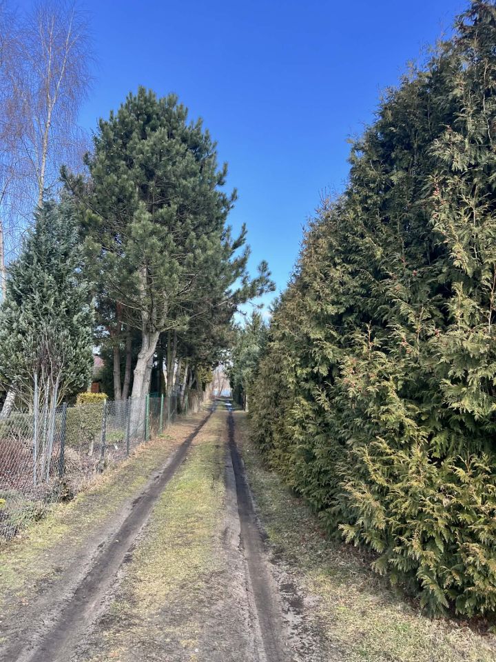 Działka rekreacyjna Dąb Polski, ul. Bratkowa. Zdjęcie 9