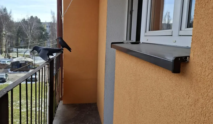 Mieszkanie 2-pokojowe Kudowa-Zdrój Zakrze, ul. Pogodna