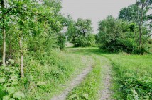 Działka siedliskowa Kiczki Drugie. Zdjęcie 3