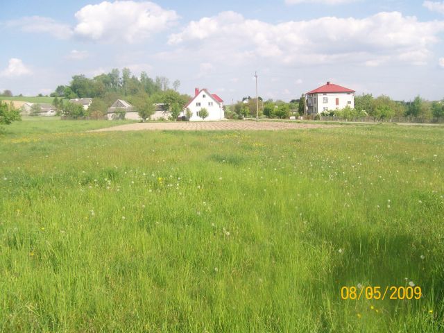 Działka rolno-budowlana Szumsko-Kolonie. Zdjęcie 1