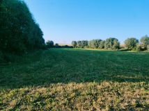 Działka siedliskowa Zielnowo. Zdjęcie 1