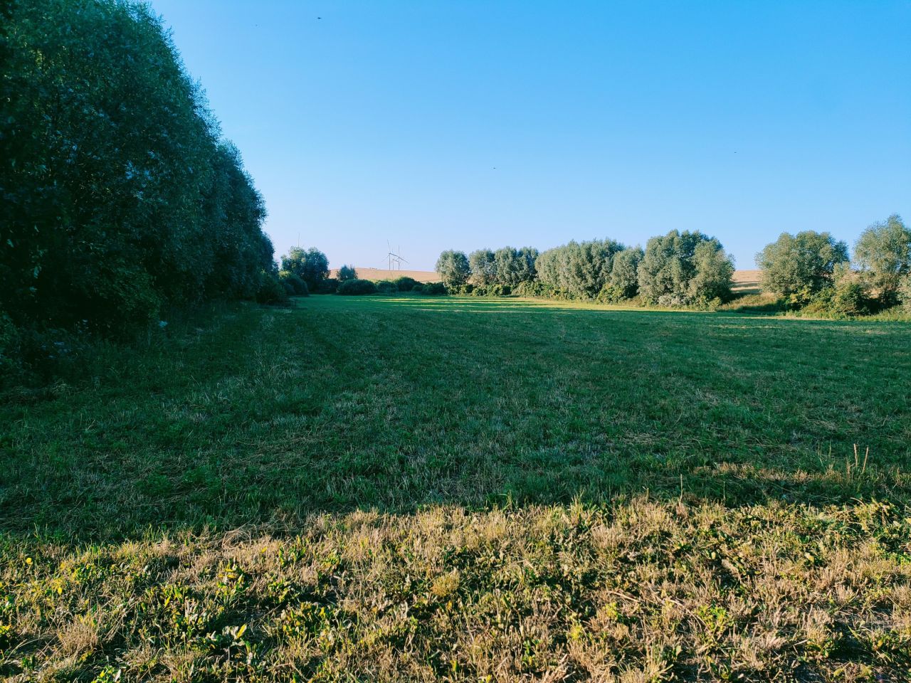 Działka siedliskowa Zielnowo. Zdjęcie 2