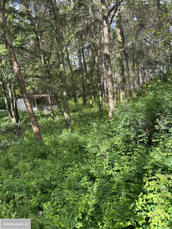 Działka budowlana Łódź Widzew, ul. Dworcowa