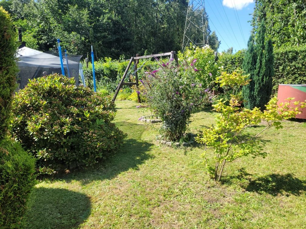 Działka rod Ruda Śląska Bielszowice. Zdjęcie 6