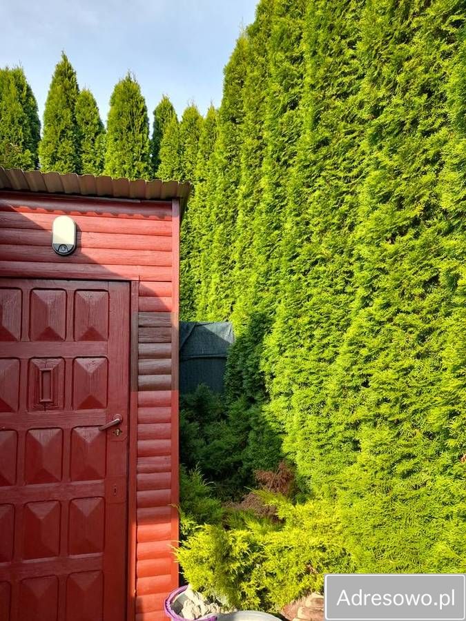 Działka rod Ostrowiec Świętokrzyski, ul. Niska. Zdjęcie 8