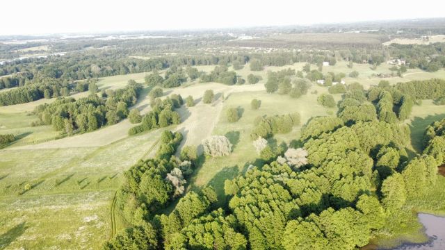 Działka rekreacyjna Arciechów. Zdjęcie 6