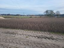 Działka budowlana Zaniemyśl. Zdjęcie 3