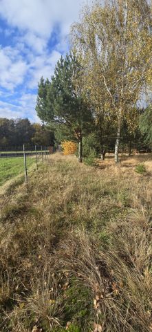 Działka budowlana Skrzynka. Zdjęcie 9