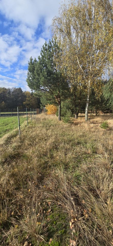 Działka budowlana Skrzynka. Zdjęcie 9