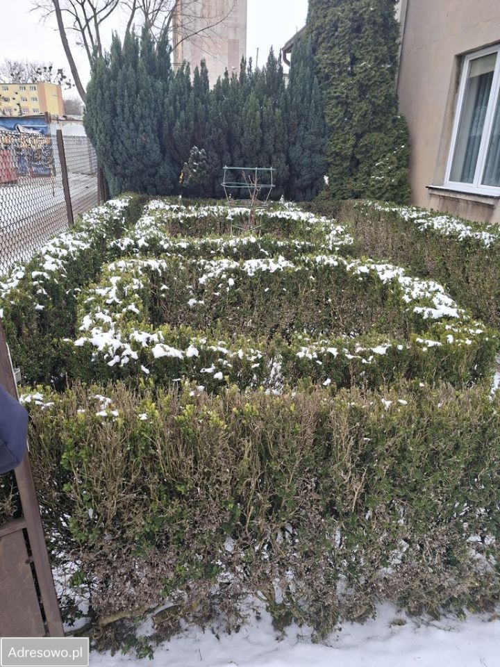 bliźniak, 3 pokoje Łódź Dąbrowa, ul. Gabrieli Zapolskiej. Zdjęcie 5