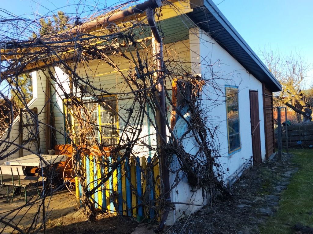 Działka rod Siedlce, ul. Graniczna. Zdjęcie 7