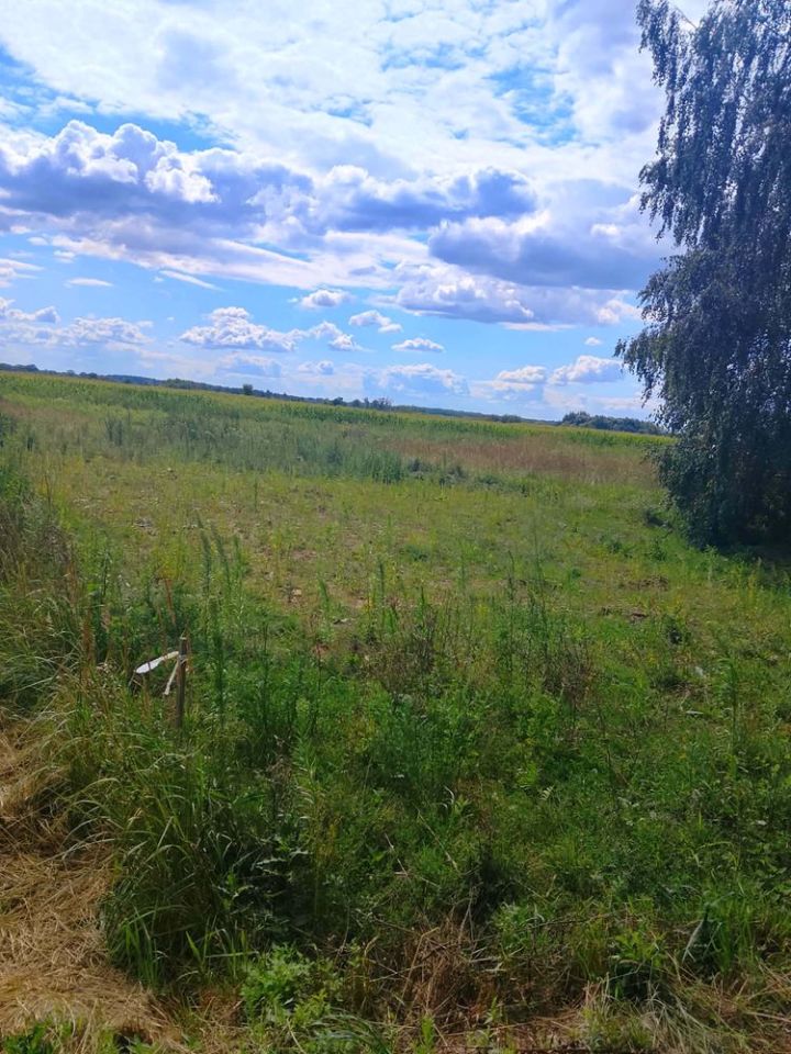 Działka budowlana Dobrzyń. Zdjęcie 2