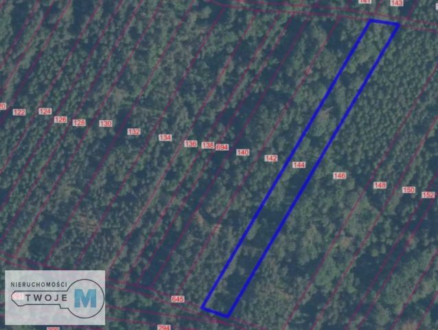 Działka rolna Pierzchnica. Zdjęcie 2