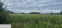 Działka rolna Golice-Kolonia. Zdjęcie 2