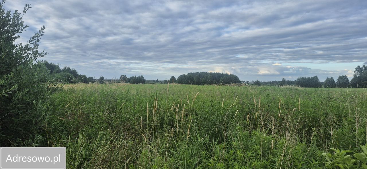 Działka rolna Golice-Kolonia. Zdjęcie 3
