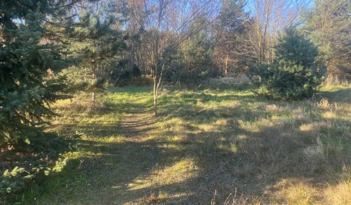 Działka budowlana Gola