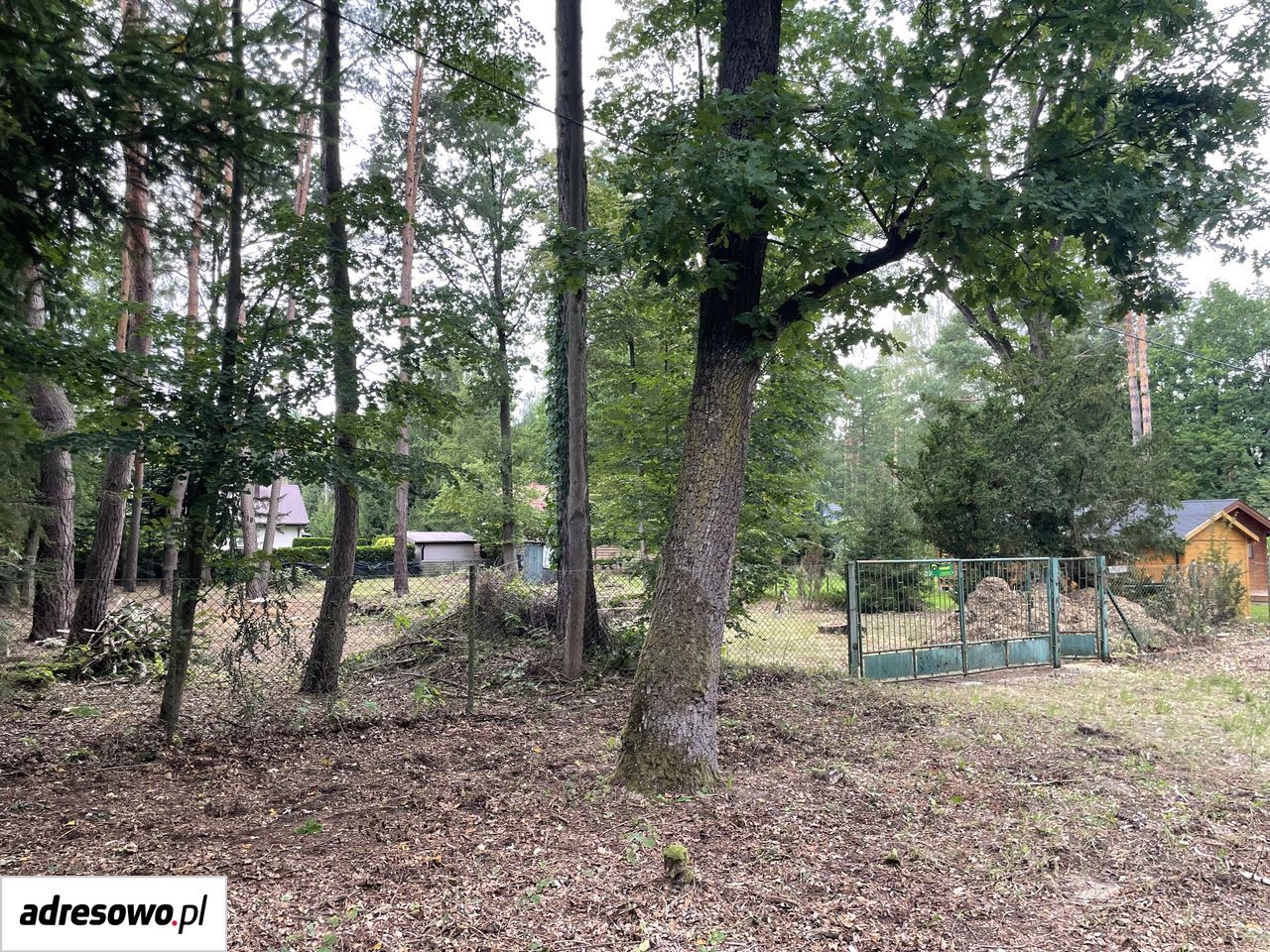 Działka rekreacyjna Popowo-Parcele, ul. Dębowa. Zdjęcie 19