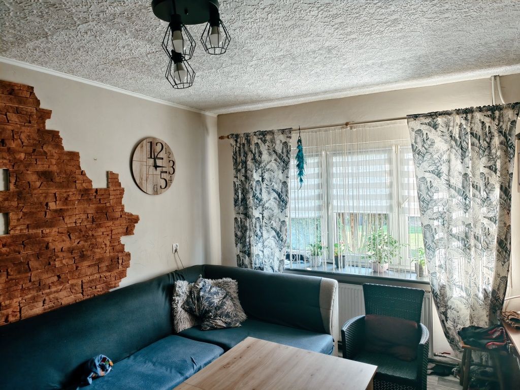 bliźniak Cedry Małe. Zdjęcie 6