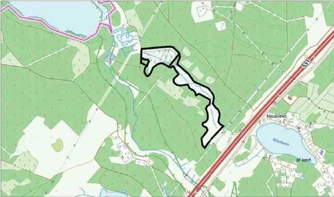 Działka rolna Wymój. Zdjęcie 5